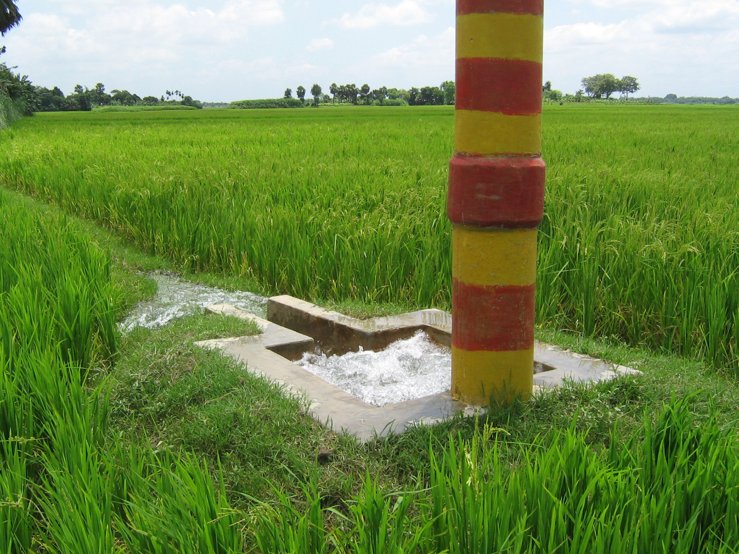 কৃষক